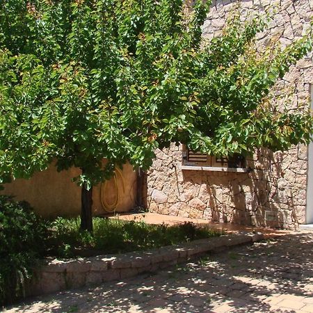 Bella Casa Con Giardino A 10 Minuti Dal Mare Apartment Aglientu Exterior photo