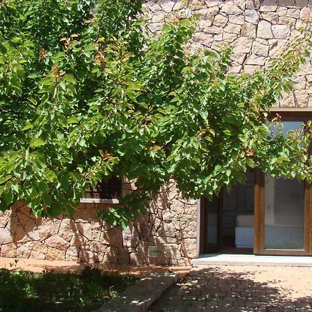 Bella Casa Con Giardino A 10 Minuti Dal Mare Apartment Aglientu Exterior photo